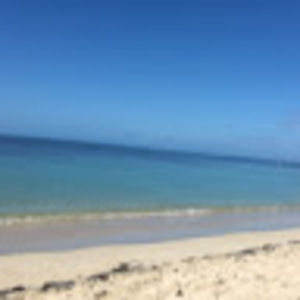 Meet your Posher, Carla